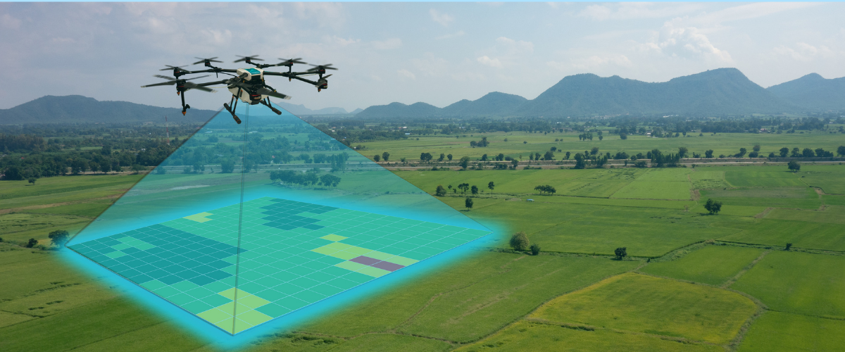 Topographic Drone Image